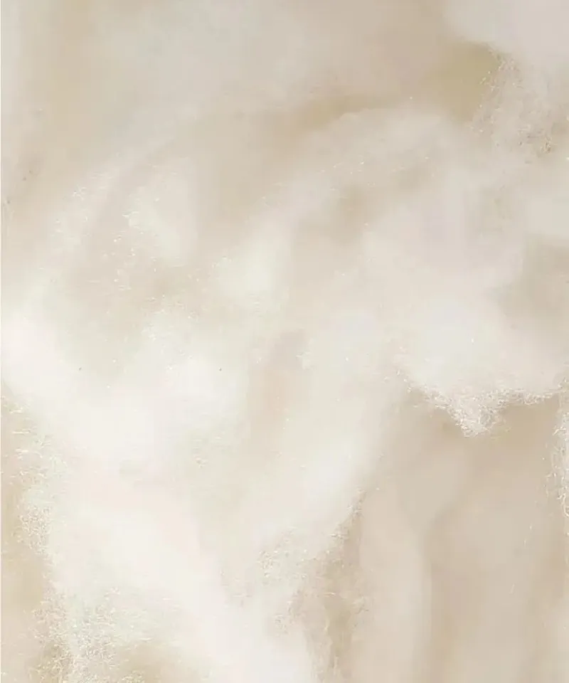 xinwen5-11